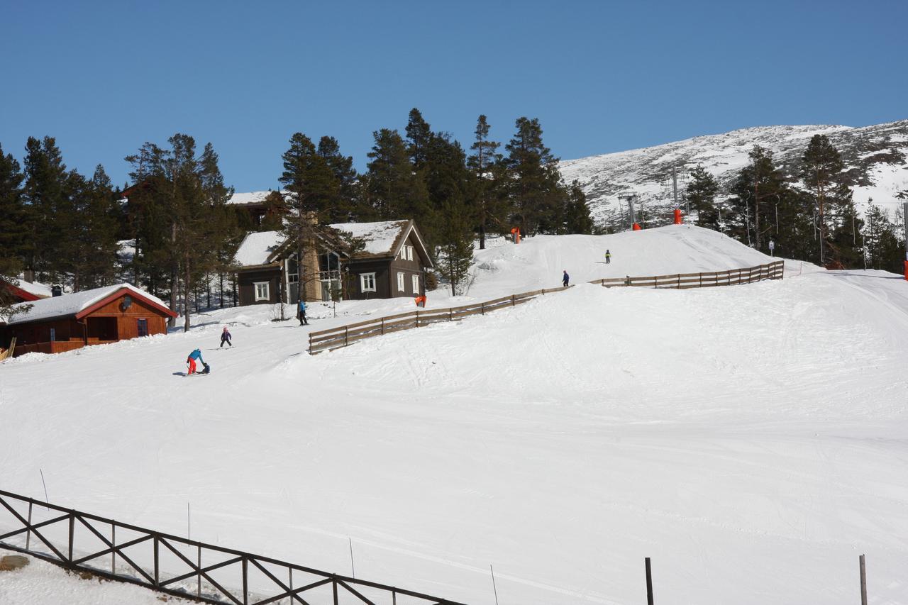 Lemonsjo Fjellstue Og Hyttegrend Randsverk Εξωτερικό φωτογραφία