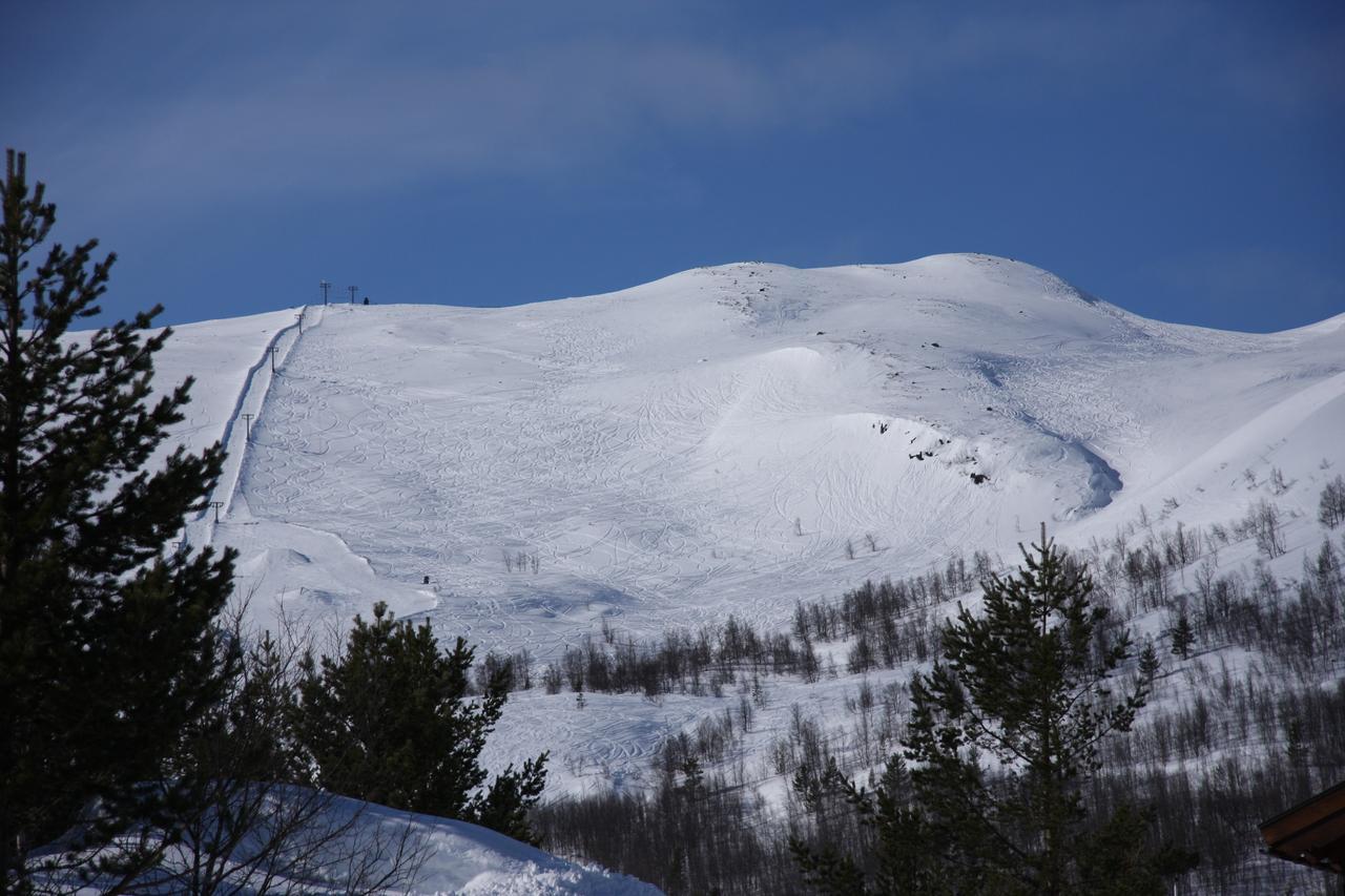 Lemonsjo Fjellstue Og Hyttegrend Randsverk Εξωτερικό φωτογραφία