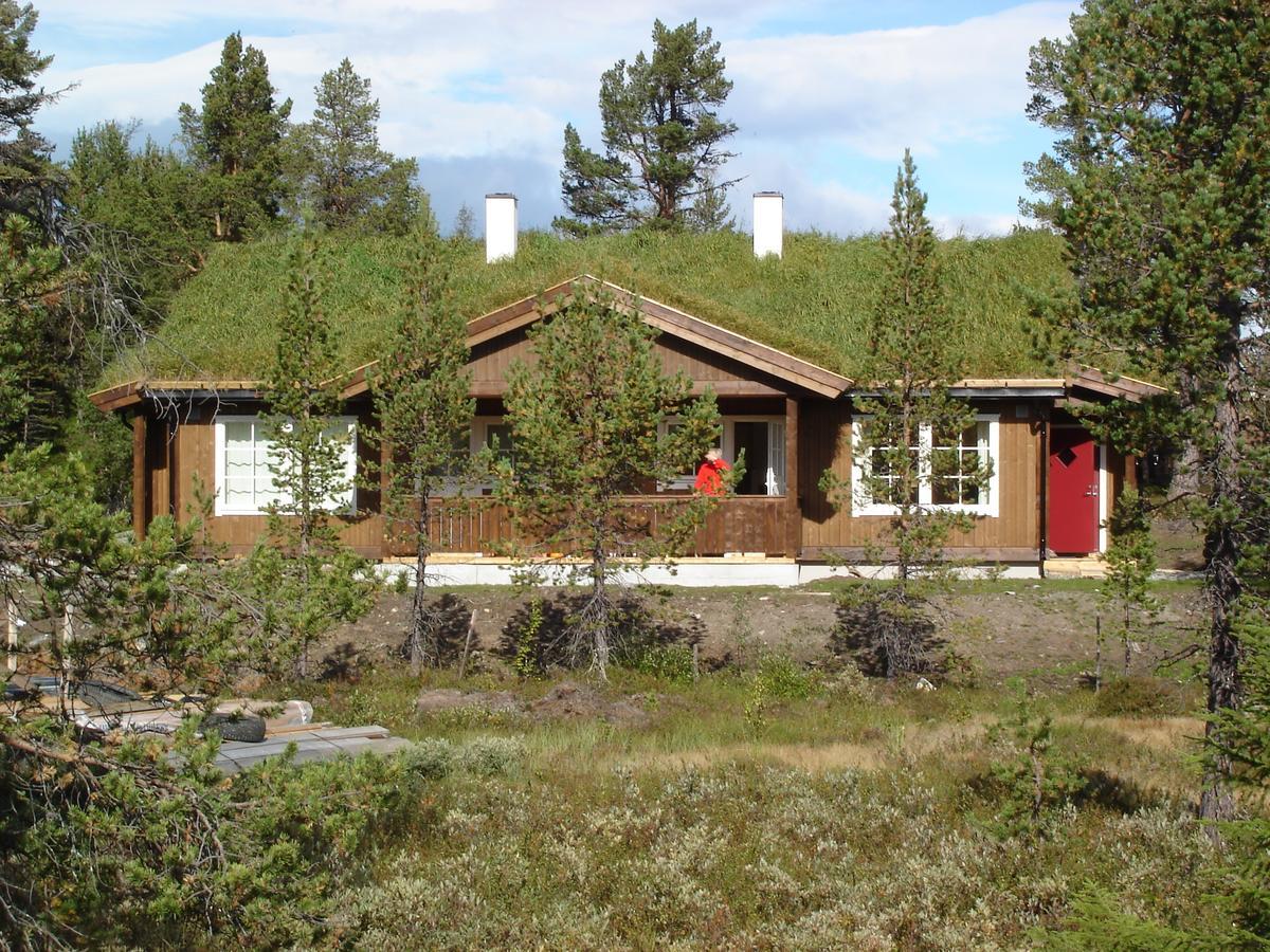 Lemonsjo Fjellstue Og Hyttegrend Randsverk Δωμάτιο φωτογραφία