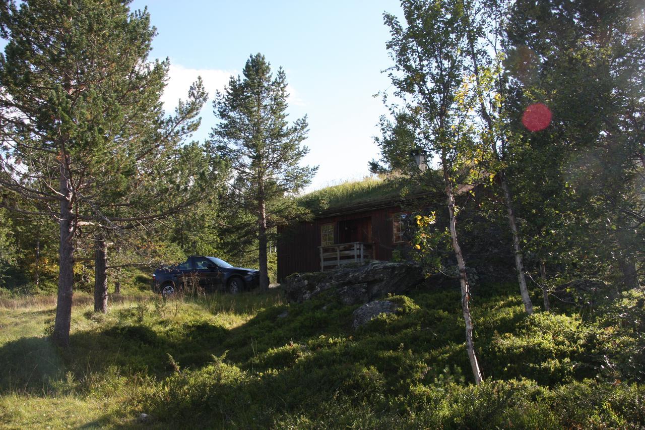 Lemonsjo Fjellstue Og Hyttegrend Randsverk Εξωτερικό φωτογραφία