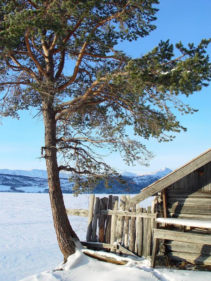 Lemonsjo Fjellstue Og Hyttegrend Randsverk Εξωτερικό φωτογραφία